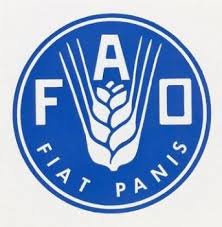 Мировое потребление пищи стабильно растет - ФАО