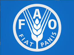 В октябре индекс мировых цен на продовольствие снизился на 2,2% - FAO