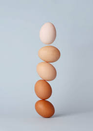 Ученые создали оптимальную технологию дезинфекции упакованных яиц
