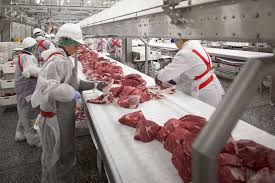 Дания построит в Украине мясоперерабатывающий завод