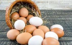 Потребление яиц в Бразилии выросло на 8%