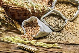 Мировые цены на зерновые в сентябре увеличились за счет подорожания пшеницы