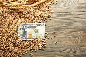 Аналитики говорят о некотором затишье на мировом рынке зерна