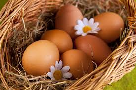 Украина за январь 2018 г. экспортировала 7,2 тыс. т яиц