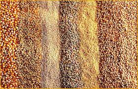 Финские ученые нашли способ конвертировать метан в кормовой материал Финские ученые нашли способ конвертировать метан в кормовой материал