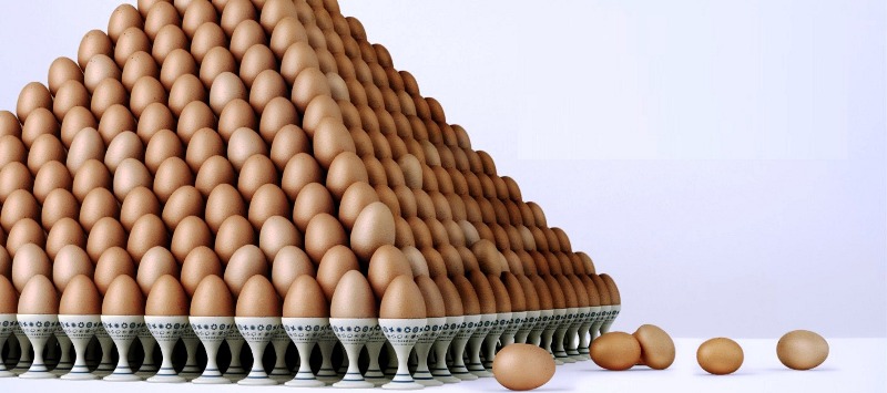 Украина установит новый рекорд по производству яиц
