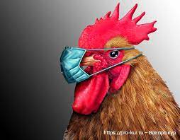 Вспышка птичьего гриппа в Болгарии